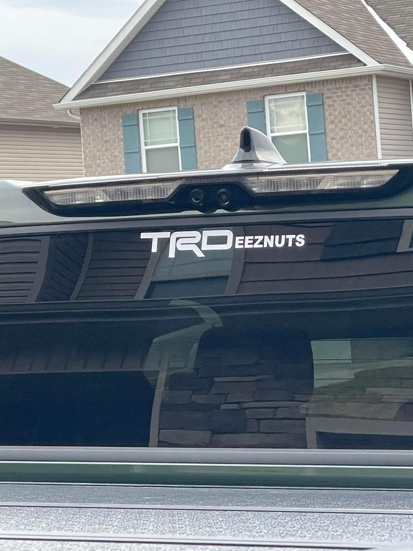 YodaVinyl's "TRDeeznutz" Vinyl Decal